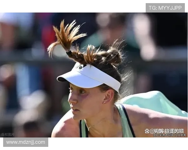 莱巴金娜四年磨剑复仇萨巴伦卡